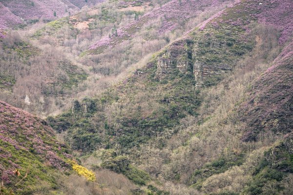 La planification financière pour les propriétaires d'entreprises familiales